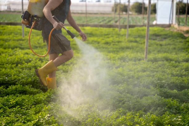 Best Local Pest Control Services  in Hawaiian Ocean View, HI